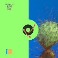 Ghameldi - In the Green Rain