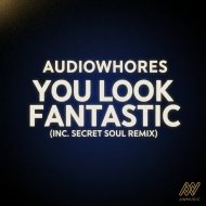 Audiowhores - You Look Fantastic