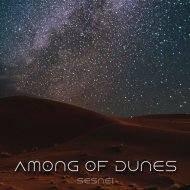 SenSei - Among of dunes