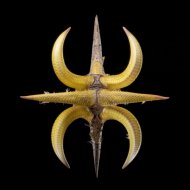 Rafael Cerato, widerberg - Hero