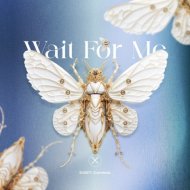 DIZET, Careless - Wait for Me