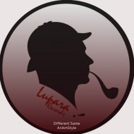 AnAmStyle - Different Same