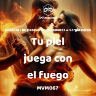 Ghost In The Metaverse, Metamates, Sergio Pardo - Sigo buscando el sentido