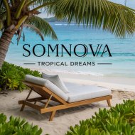 Somnova - Champagne Glass