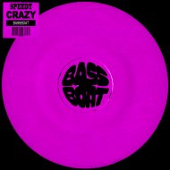 DJ Speedy - Crazy
